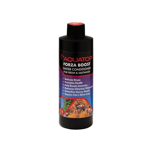 Wholesale->Conditioners & Supplements