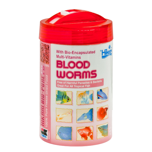 Hikari Freeze Dried Bloodworms (Special Order)