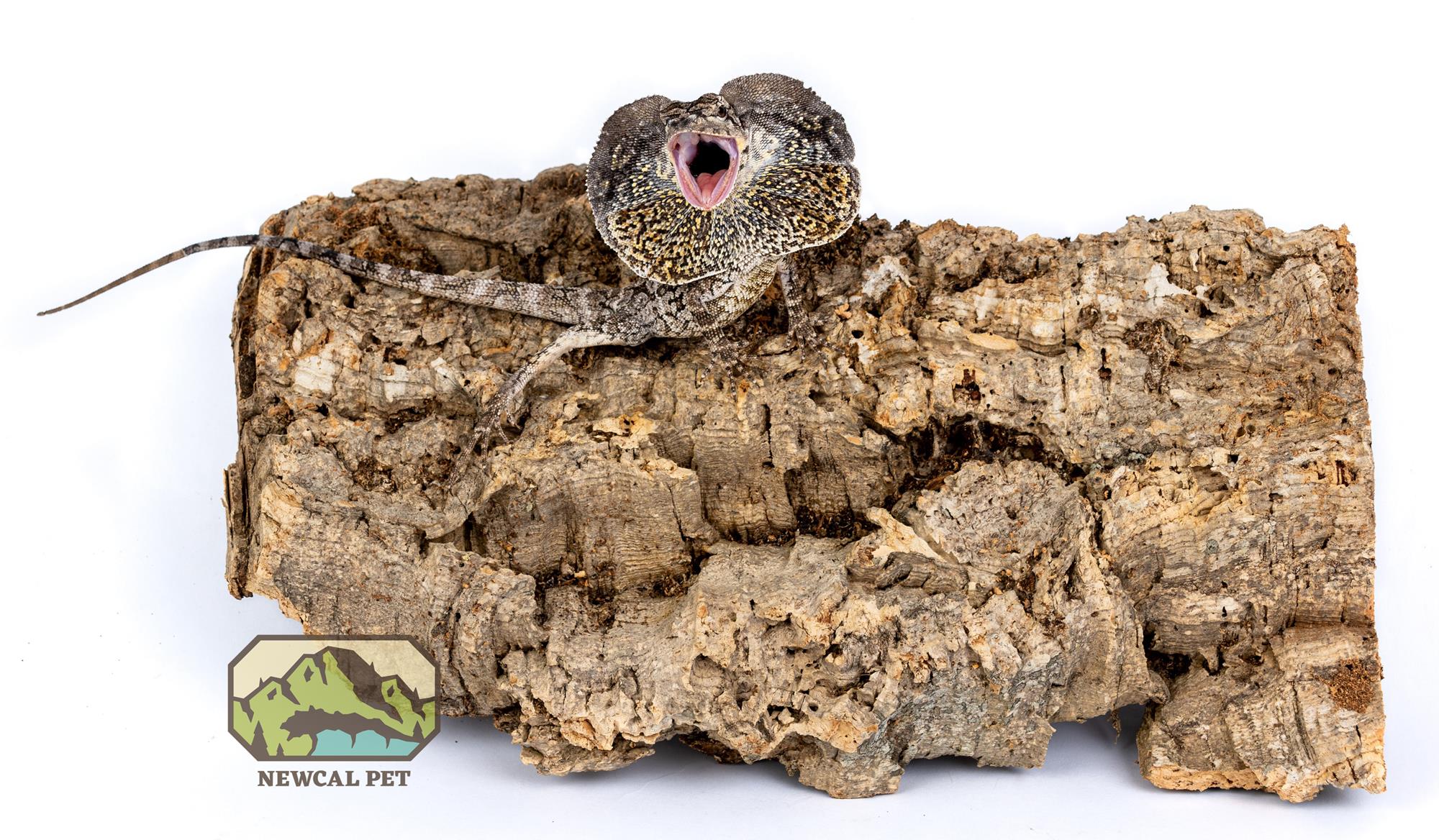 NewCal Pre-Cut Cork Bark Flat
