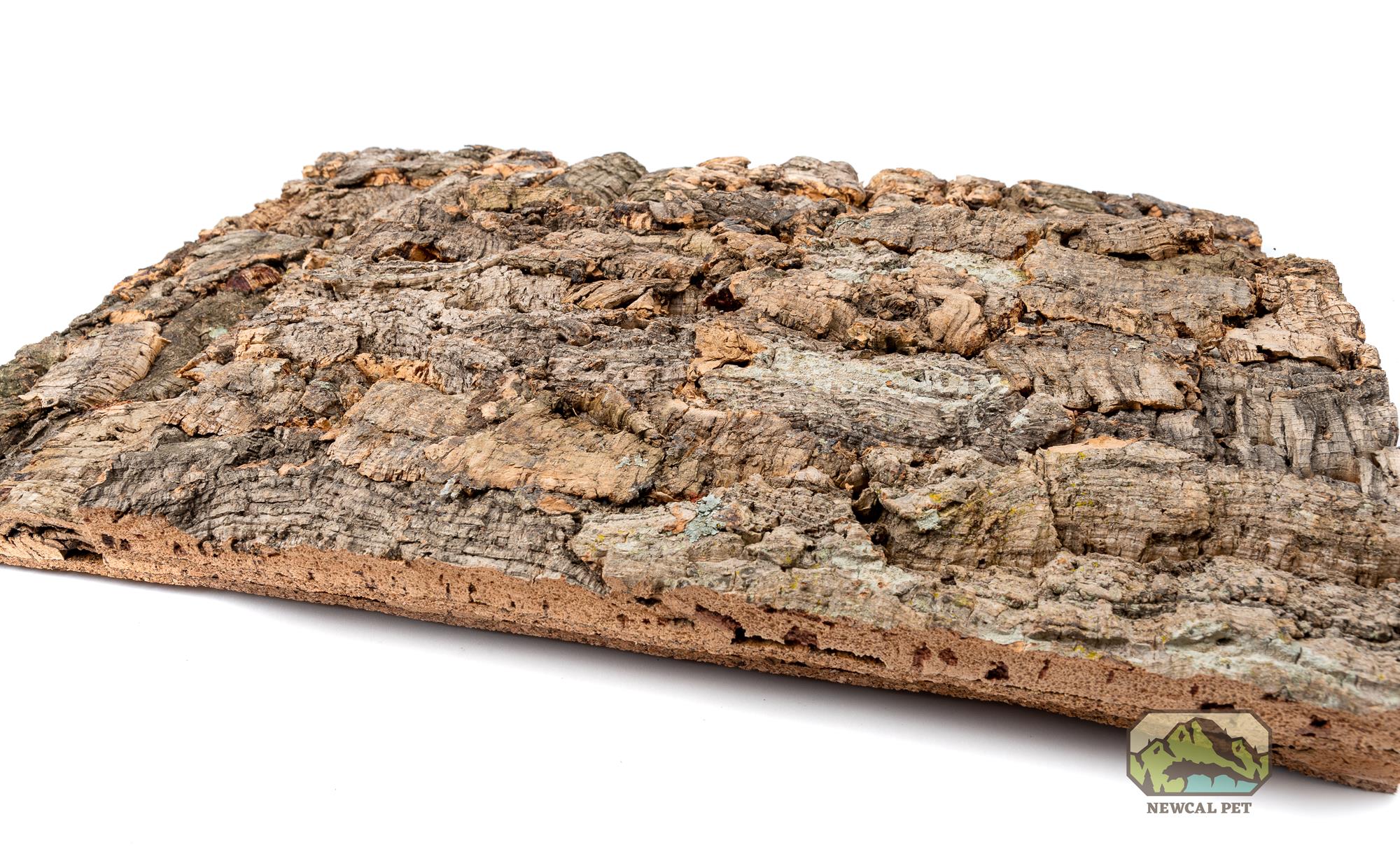 NewCal Virgin Cork Backrounds