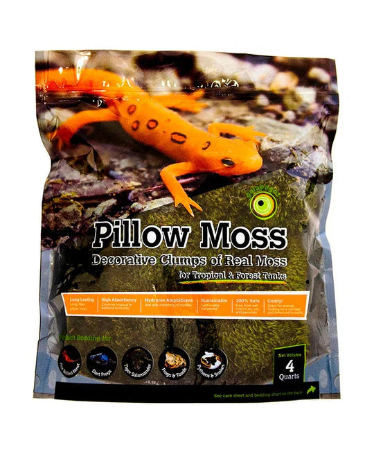 Galapagos Pillow Moss - Fresh Green