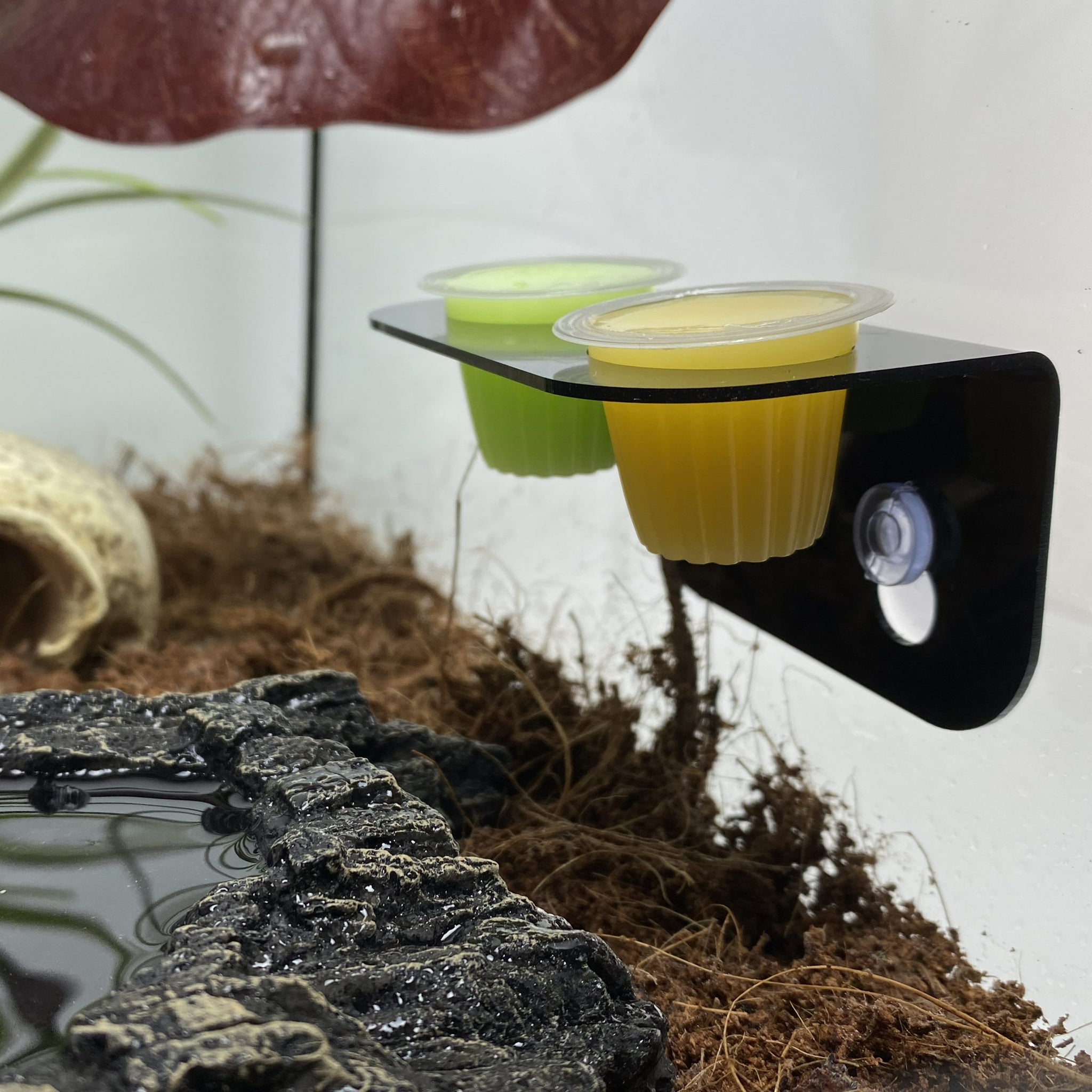 Komodo Twin Jelly Holder