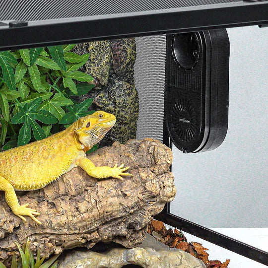 ReptiZoo Reptile Timing Air Purifier (4-Stage)