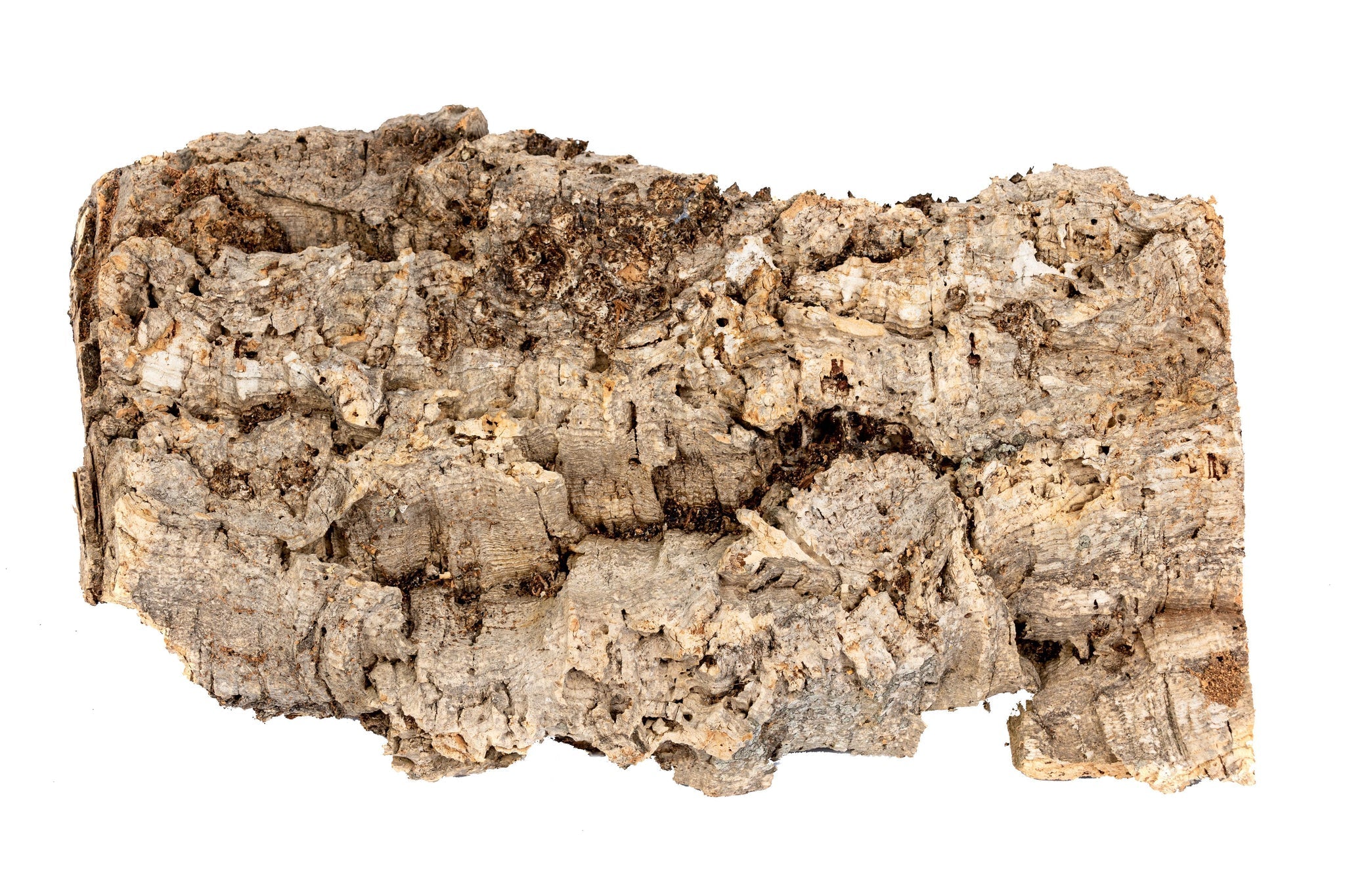NewCal Pre-Cut Cork Bark Flat