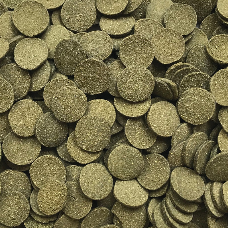 Fluval Bug Bites Algae Crisps (Special Order)