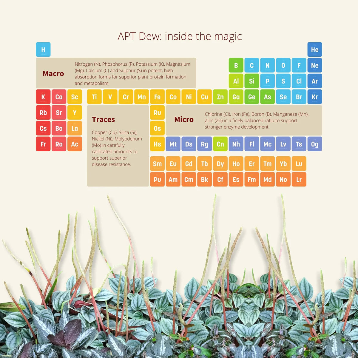 2Hr Aquarist APT D Dew