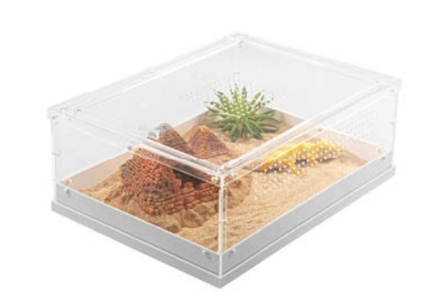ReptiZoo Acrylic Enclosures (18 Sizes & Styles)