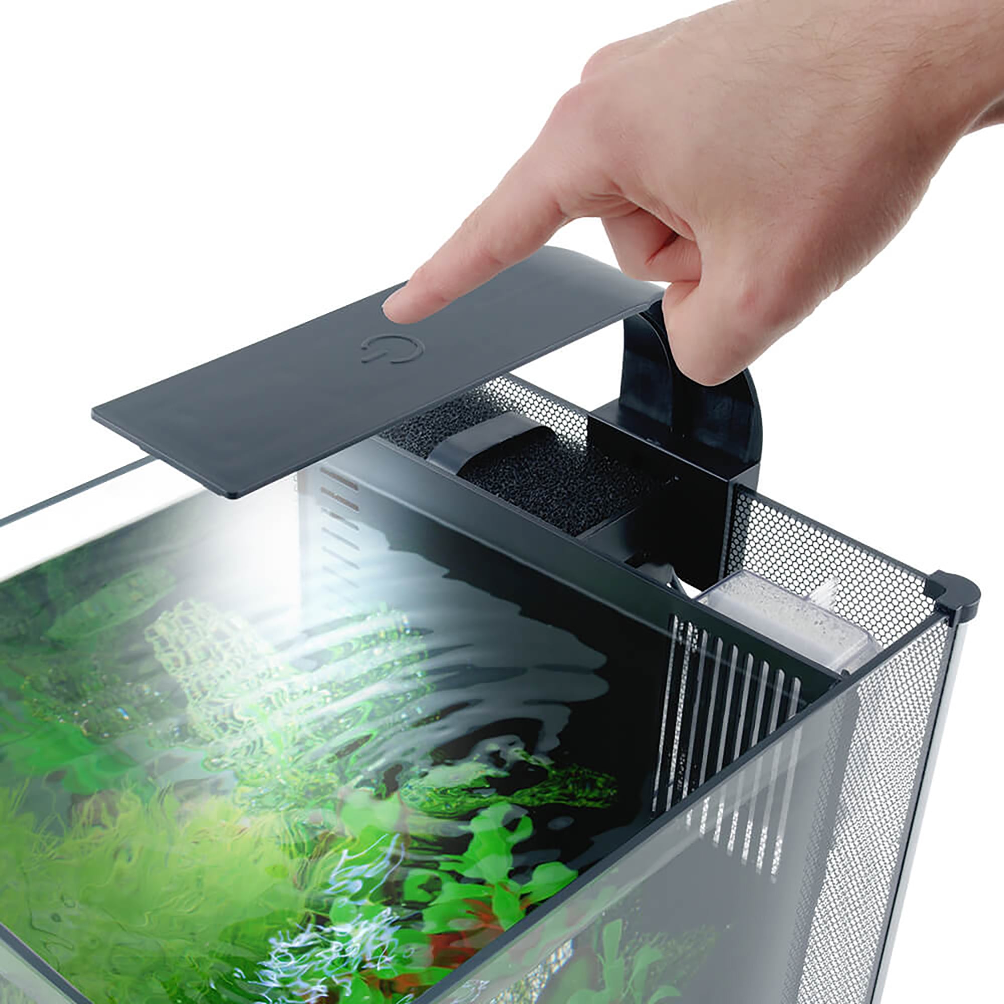 Fluval Betta Premium Aquarium Kit, - 22.7 L (6 US Gal) (Special Order)