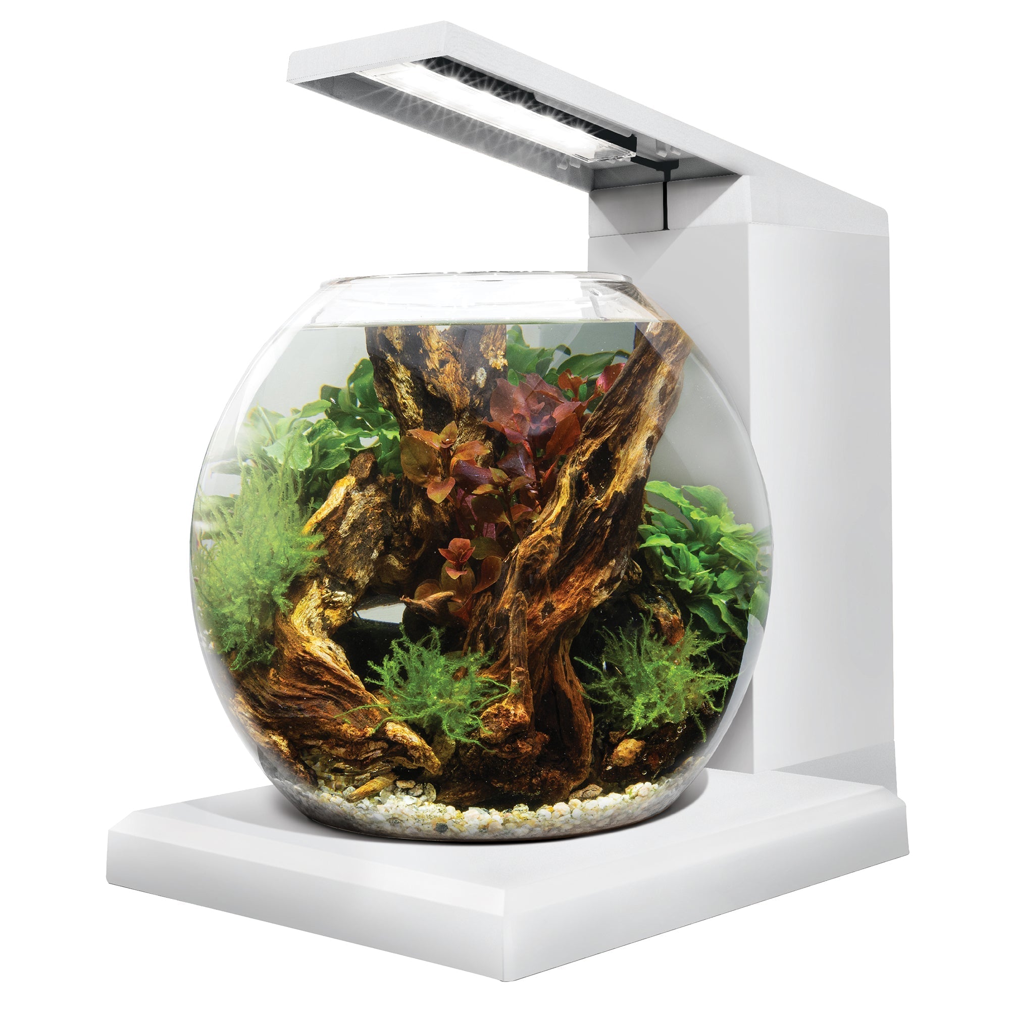 Fluval LIV Microscaping Aquarium Kit - 1.6 Gallon (Special Order)
