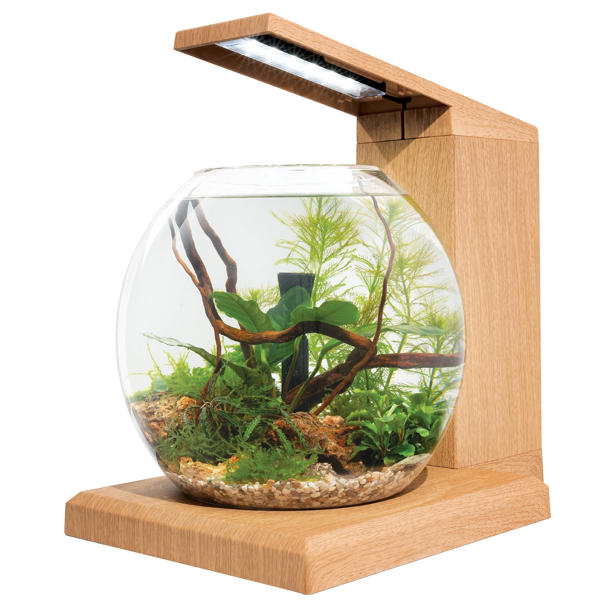 Fluval LIV Microscaping Aquarium Kit - 1.6 Gallon (Special Order)