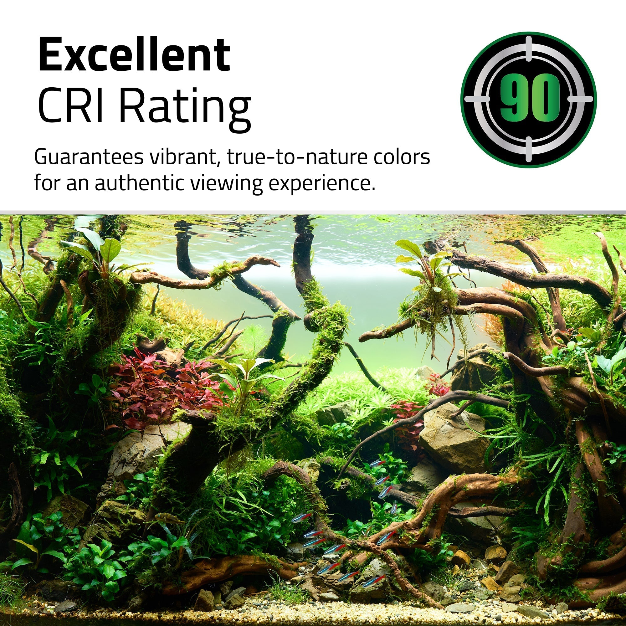 Fluval Plant 4.0 LED for Fresh & Planted Aquariums (Special Order)