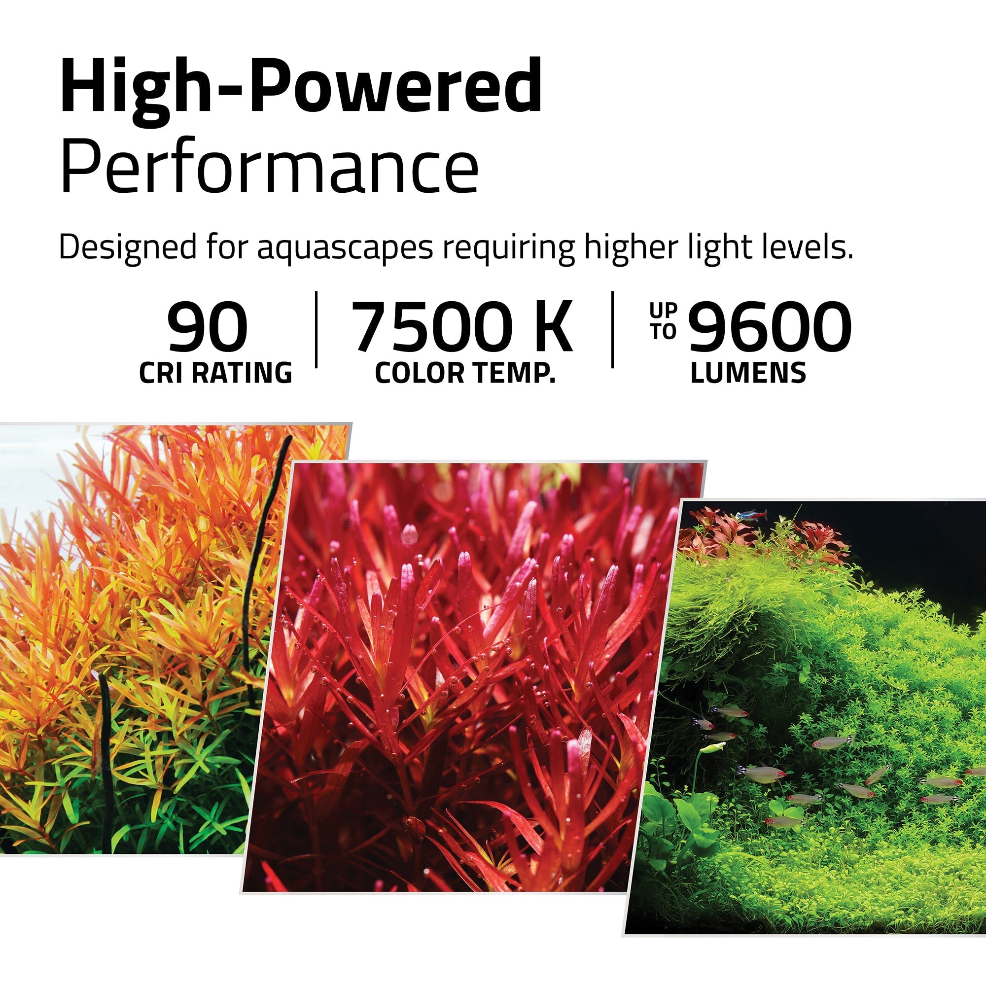 Fluval Plant Pro Fresh & Planted Aquariums (Special Order)