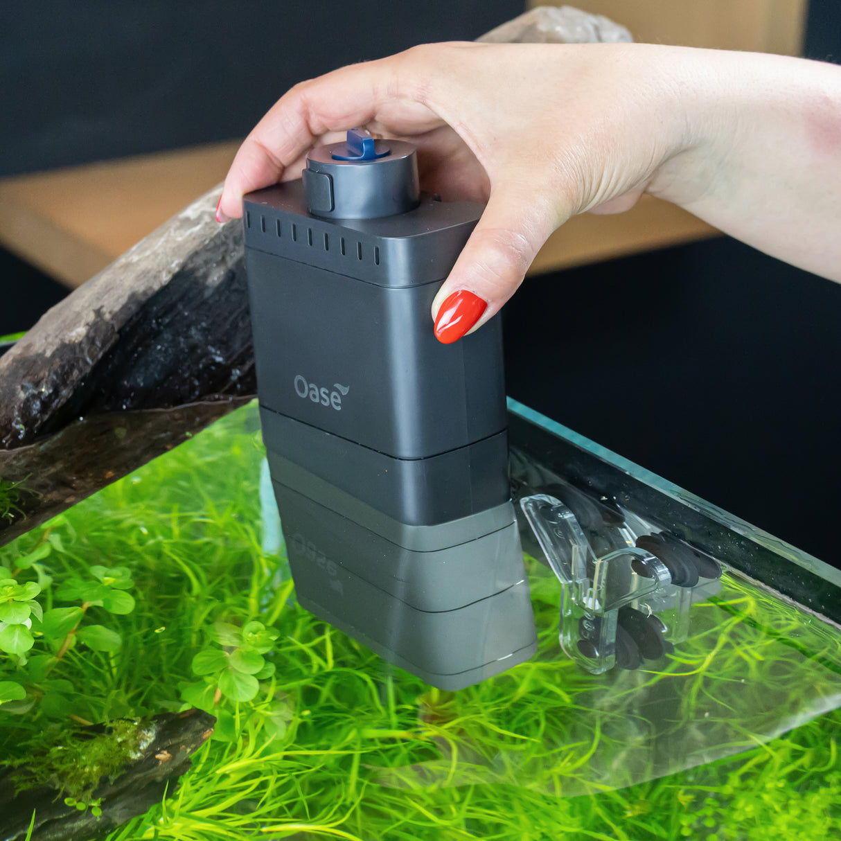 Oase EcoFlow Filter (Special Order)