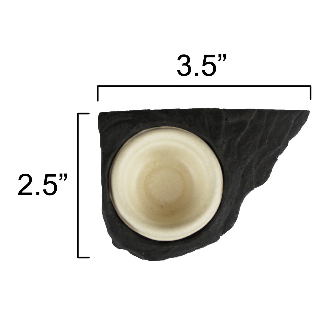 Pangea Mini Gecko Feeder Ledge - Magnetic