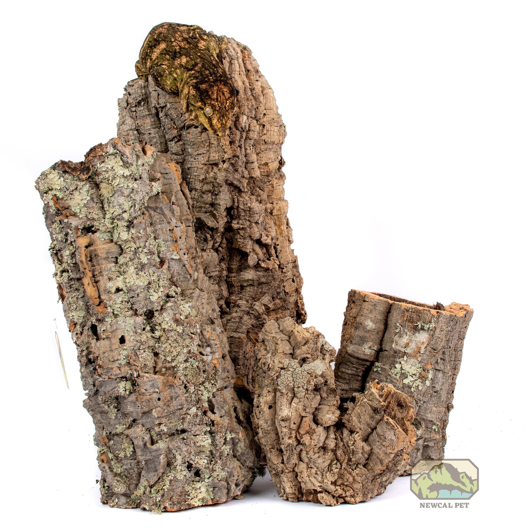 NewCal Assorted Bulk Cork Bark - Rounds & Flats - 15lbs Box