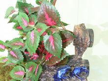 Magnaturals Hanging Jungle