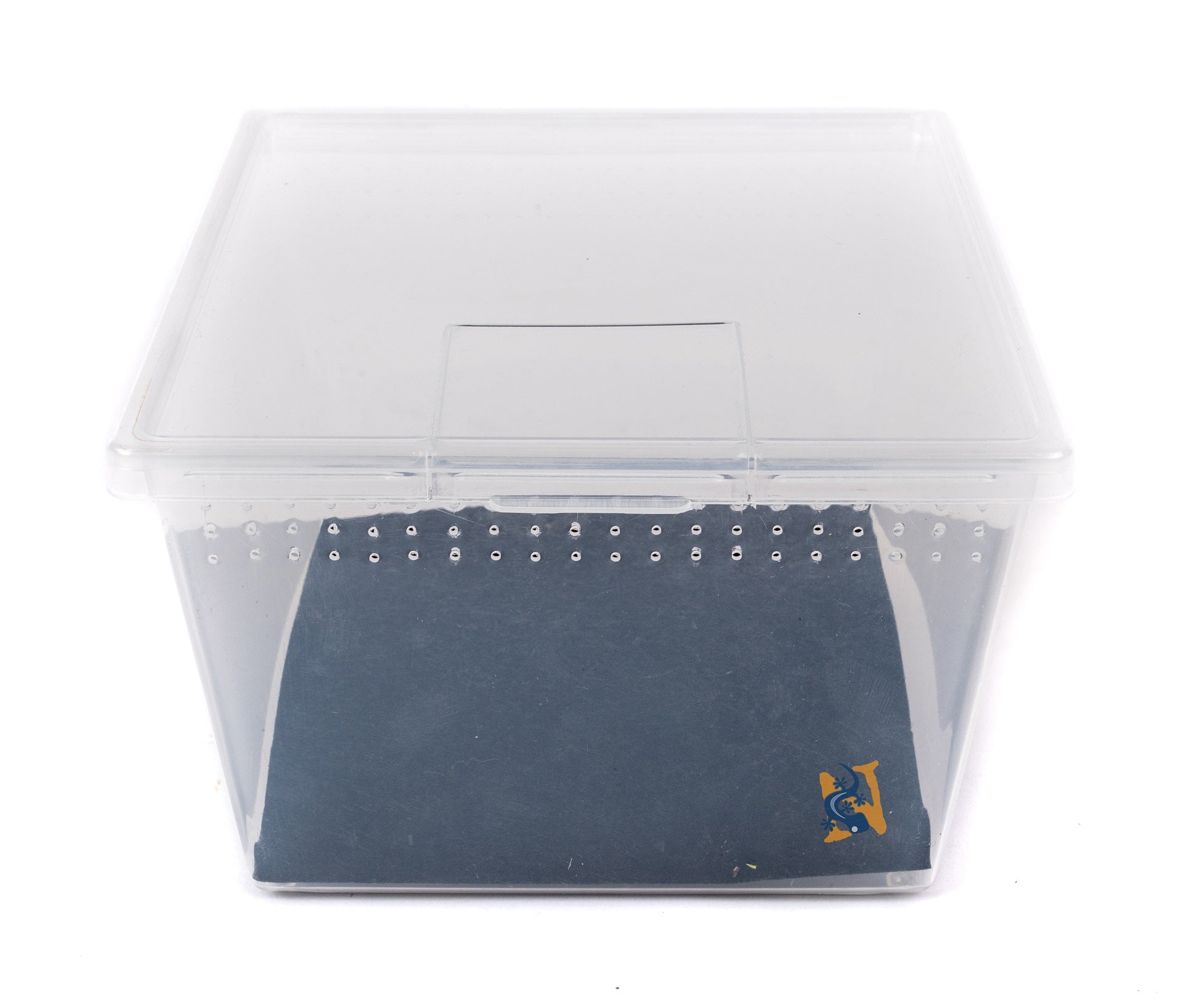 Deli Cups -Square (Vented) With Flip Lid