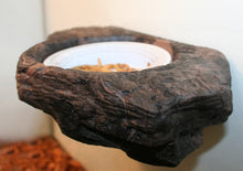 Magnaturals Worm Feeder Ledge