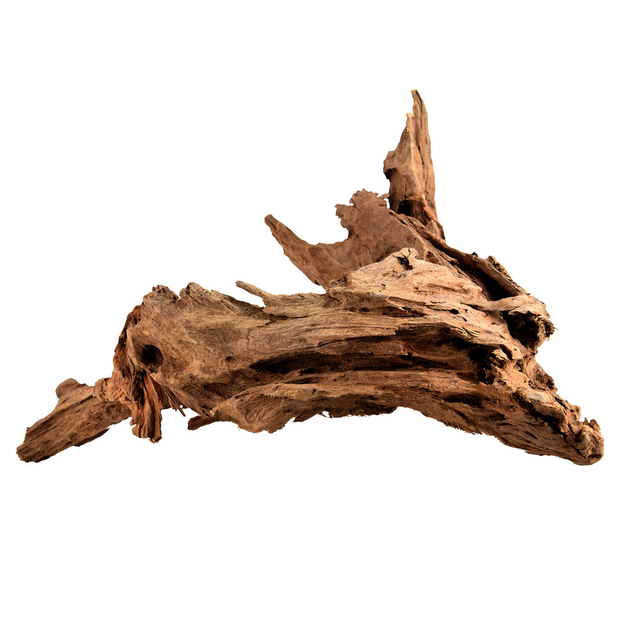 NewCal Malayasian Driftwood (per lb.)