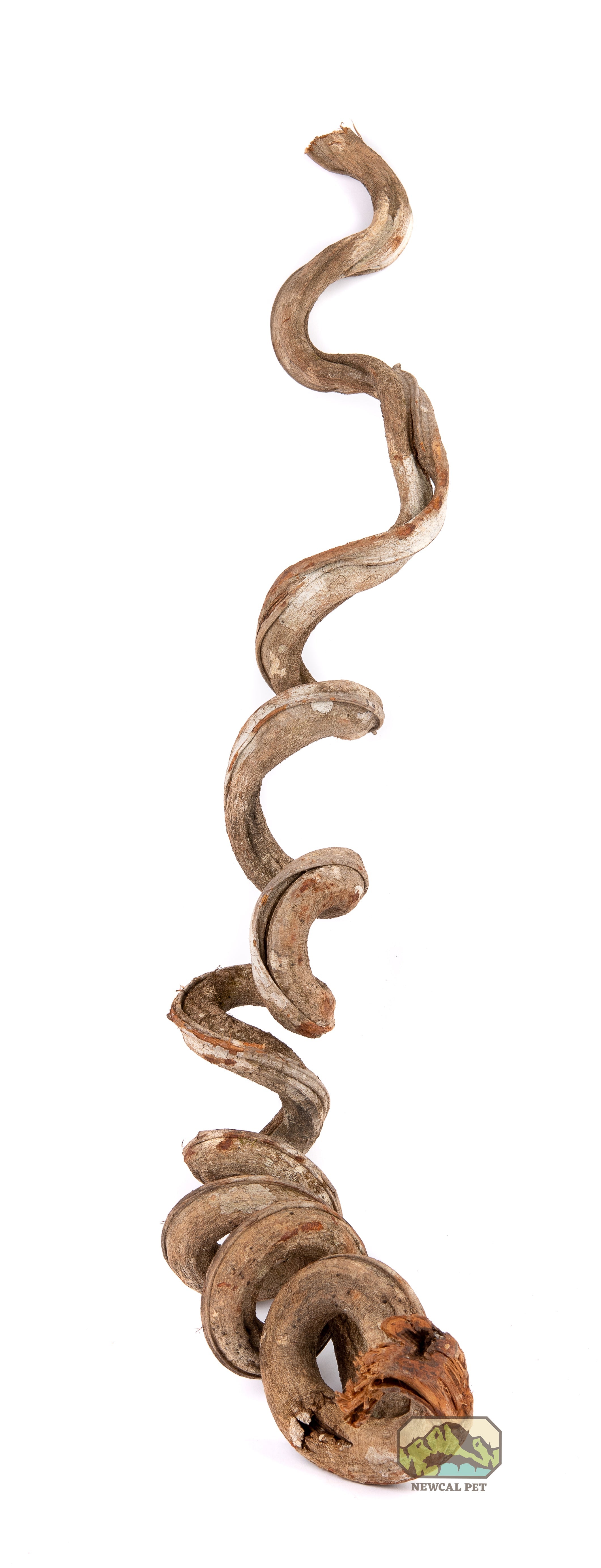 NewCal Liana Vine (Rosca) - Thick