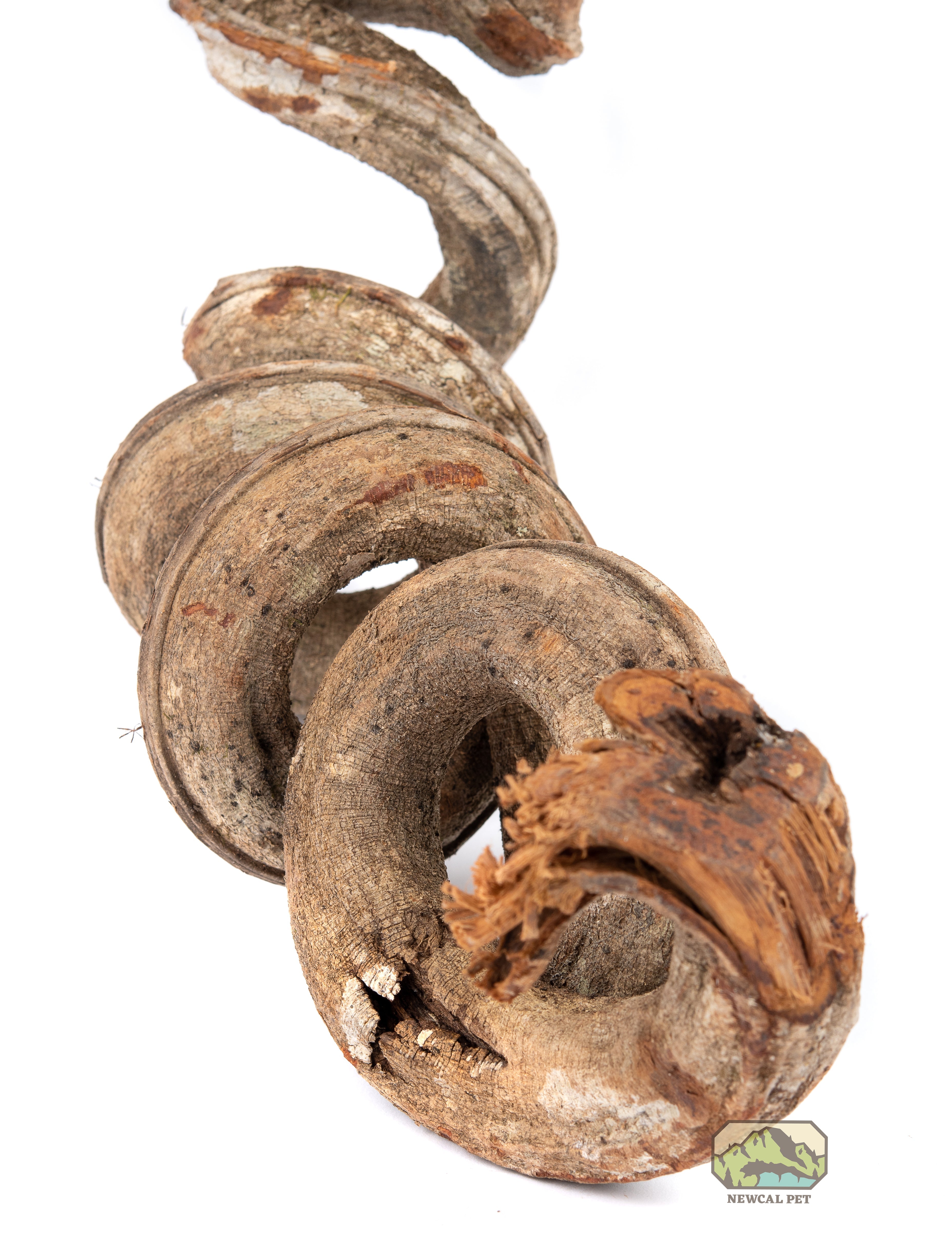 NewCal Liana Vine (Rosca) - Thick