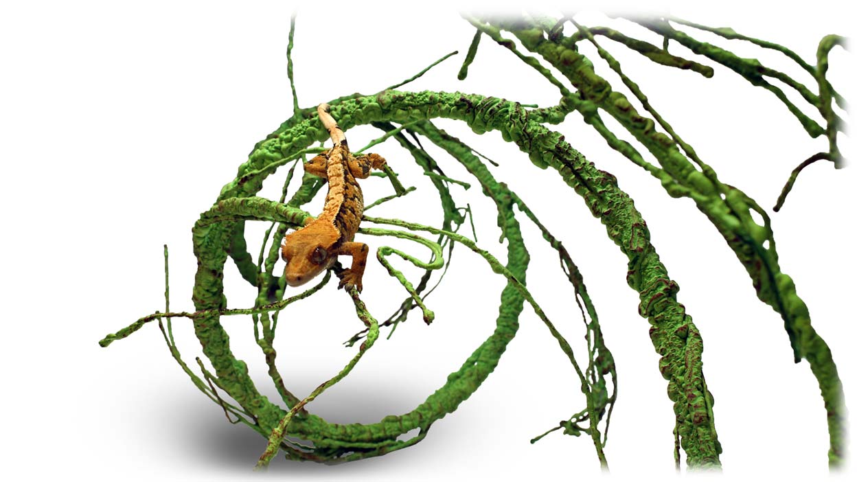 Pangea Ultimate Reptile Vine 6' Long