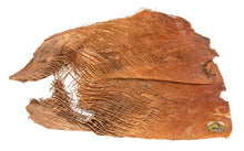 NewCal Palm Bark