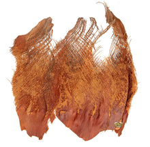 NewCal Palm Bark