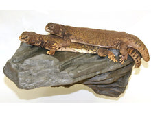 Magnaturals Rock Ledge