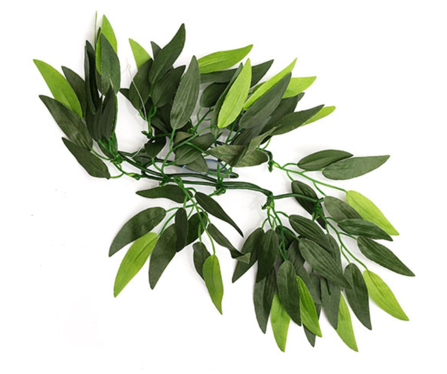 ReptiZoo Hanging Plant - Heternanthera zosterifolia