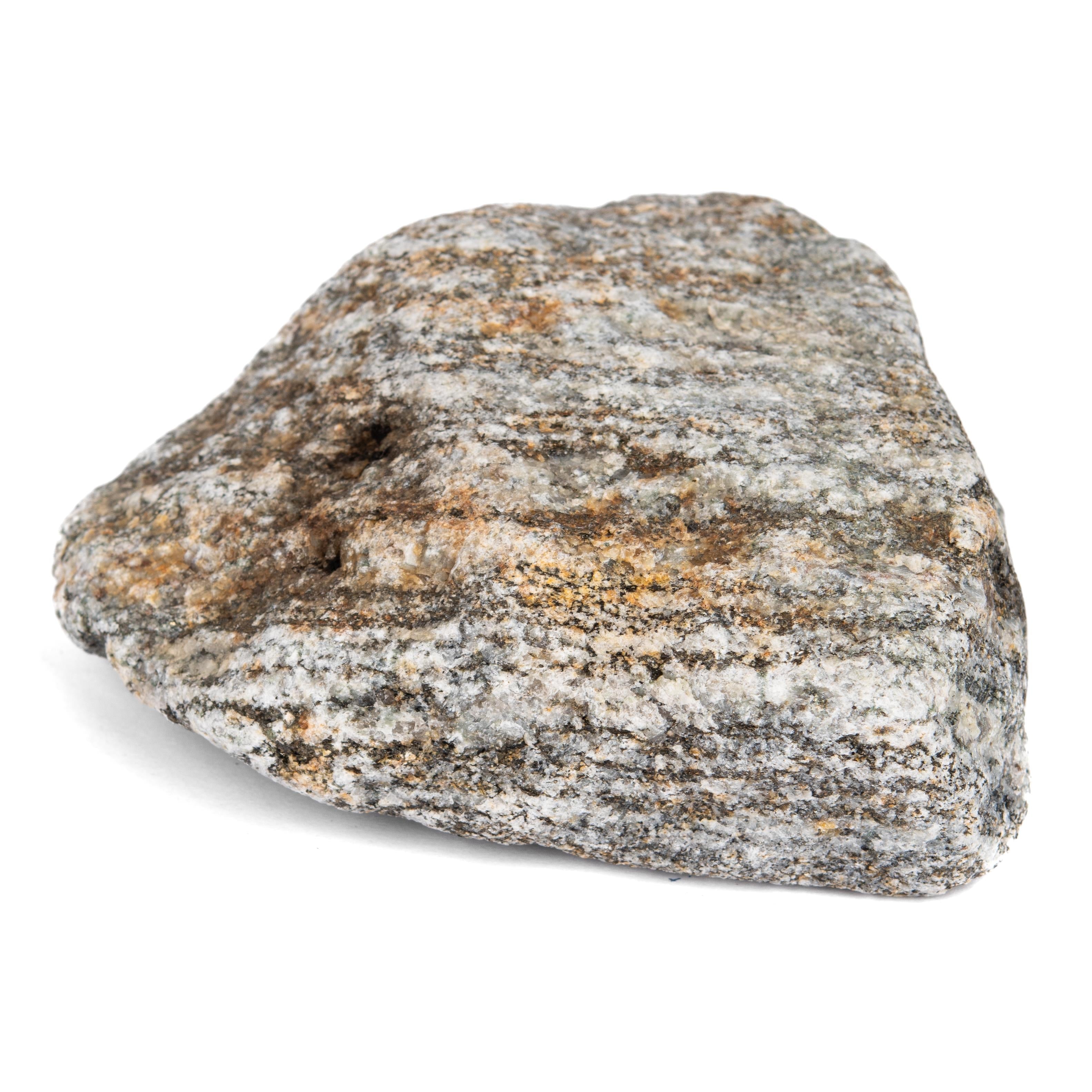 Tarzan Rock