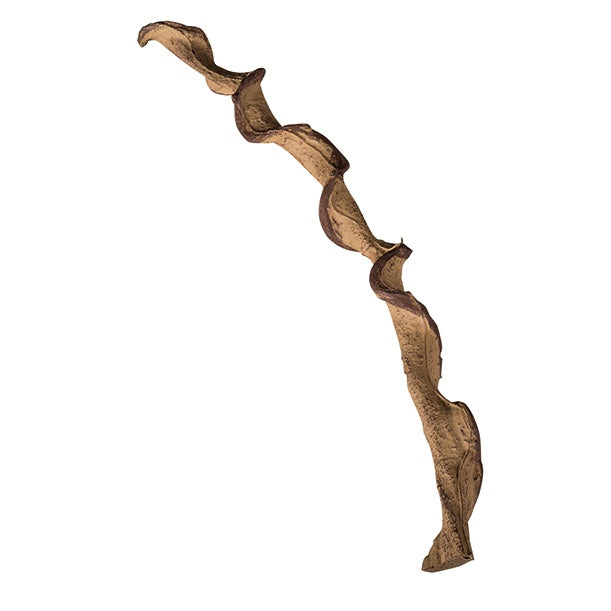 ReptiZoo Artificial Cane Liana