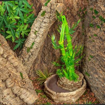 ReptiZoo 2-In-1 Height Adjustable Bamboo Planter Dripper