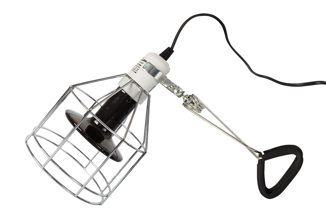 ReptiZoo Strong Spring Clamp (For Lamp Fixture Domes)