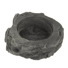 C3 Small Magnetic Gecko Ledge