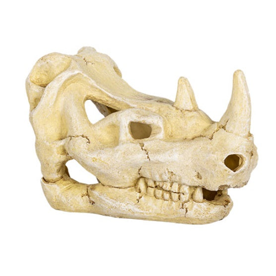 ReptiZoo Rhino Skull