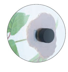 ReptiZoo Adhesive Terrarium Plant 25" - Magnetic
