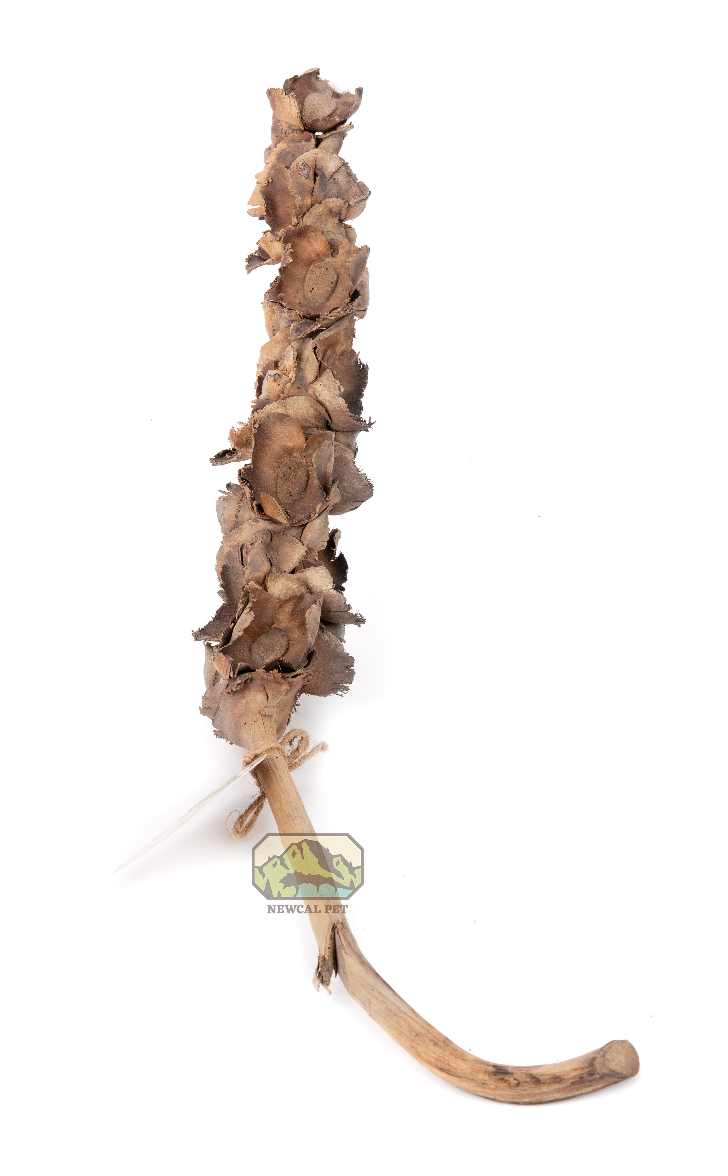 NewCal Palm Blossom Branch 15"+
