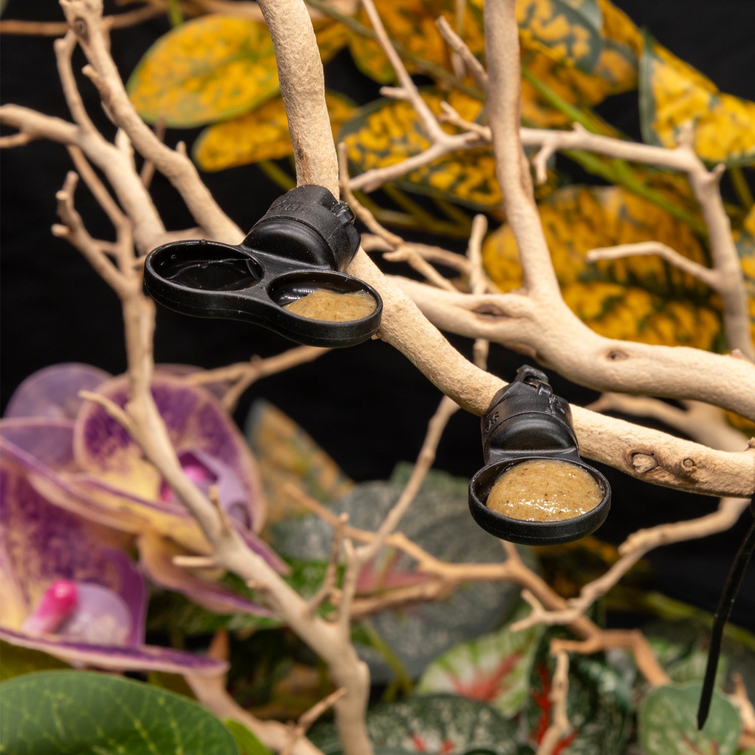 Pangea MicroDish - Branch Mount Kit - Dual Extra Small