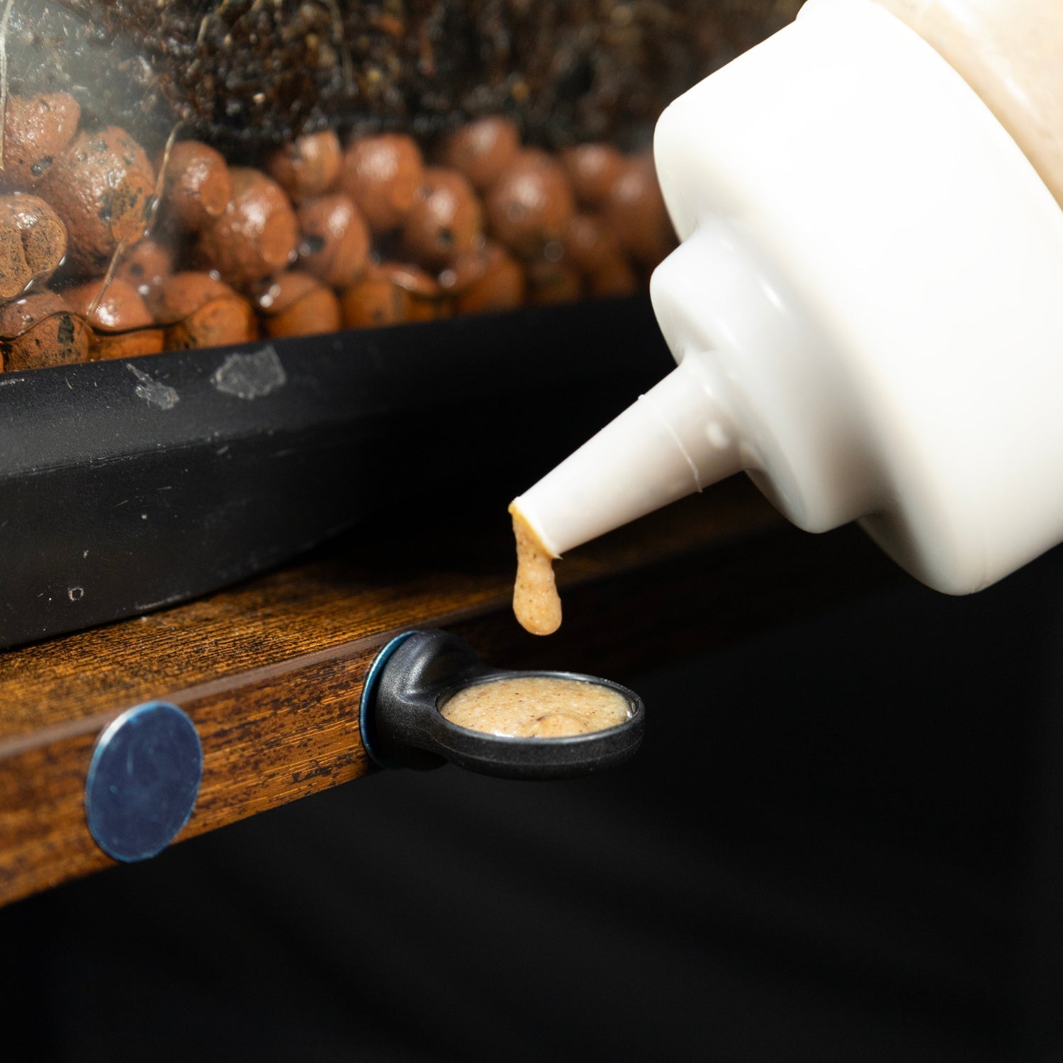 Pangea MicroDish - Surface Mount Kit - Small