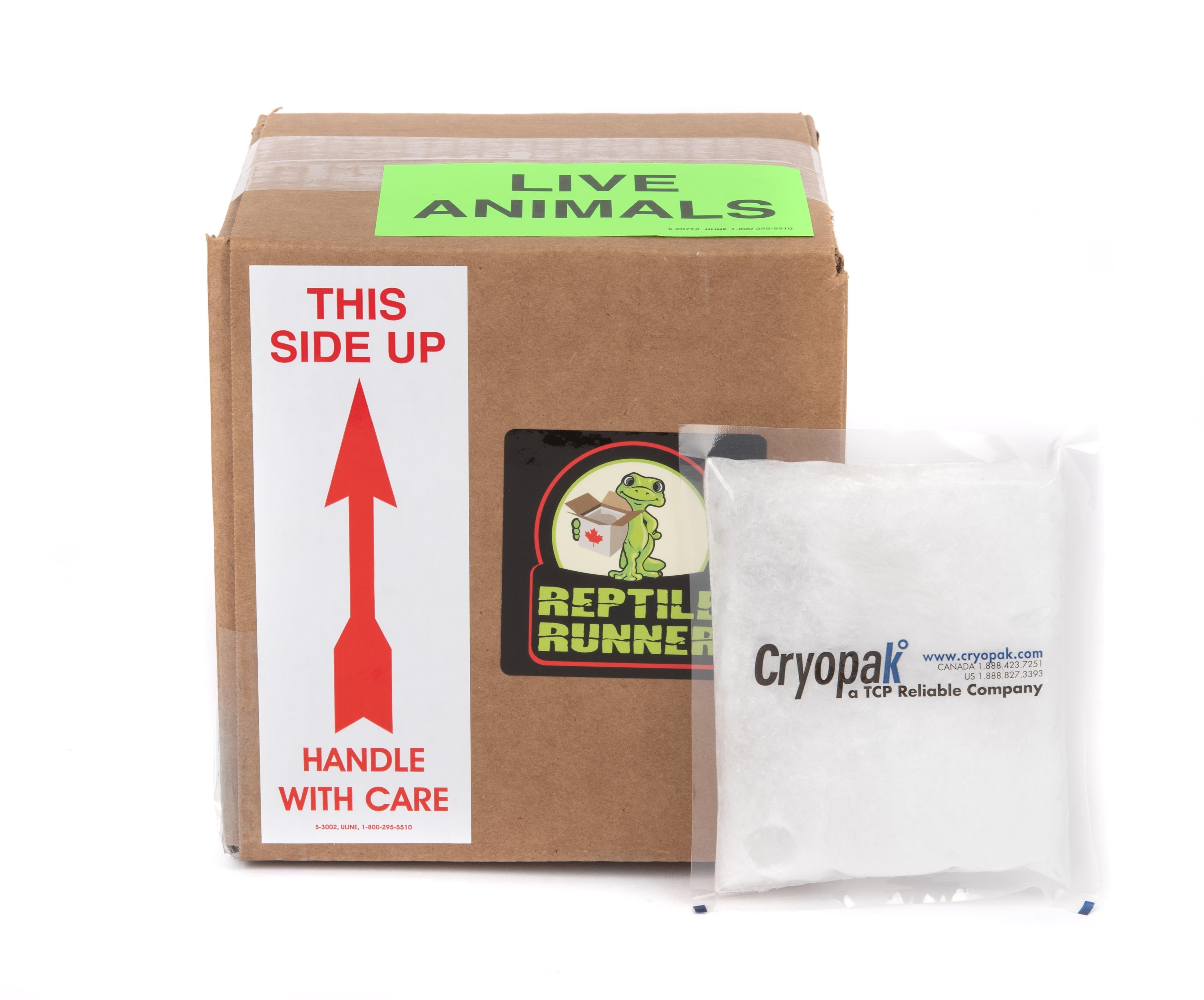 Shipping Box Kit - Summer