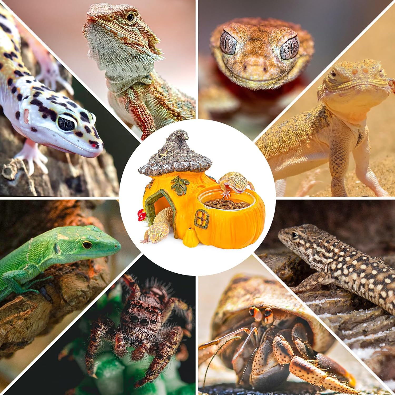 ReptiZoo Multifunctional Pumpkin Hide Castle