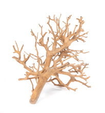 Aquaglobe MiniTree