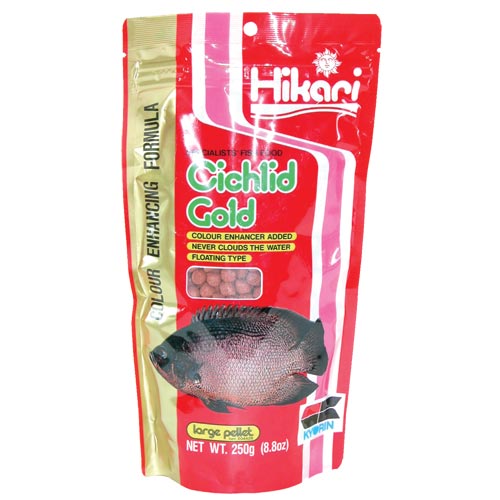 Hikari Cichlid Gold Large Pellets (Special Order)