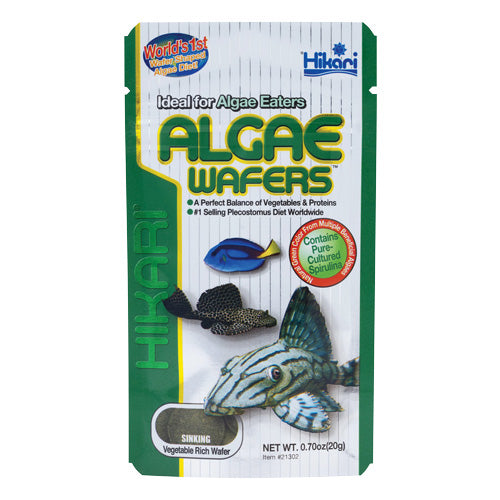 Hikari Algae Wafers (Special Order)
