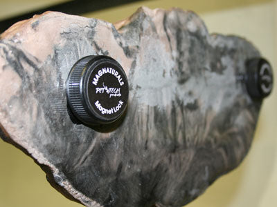 Magnaturals Replacement Magnet