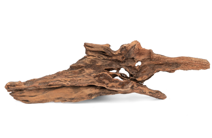 NewCal Savage Wood