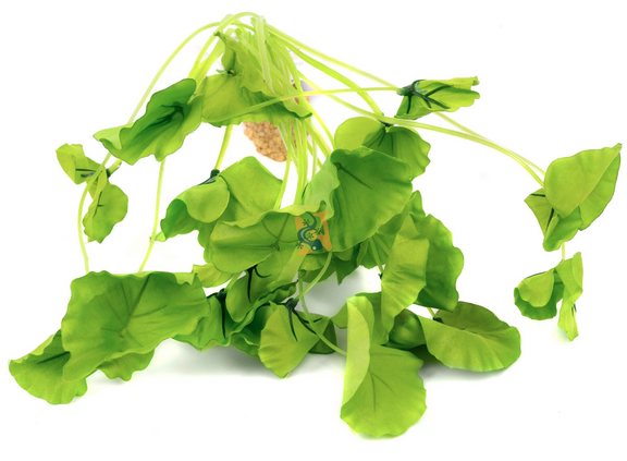 Aquaglobe Lotus Underwater Plant