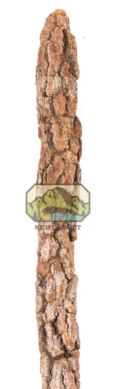 NewCal Galho Estrela Natural Cork Branch 1-1.5" Diameter