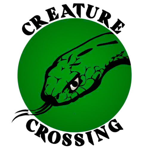 Brayden Brookhouse - Creature Crossing